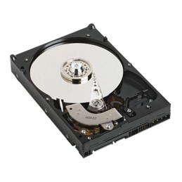 DELL 400-AFYC internal hard drive 3.5" 2 TB Serial ATA III