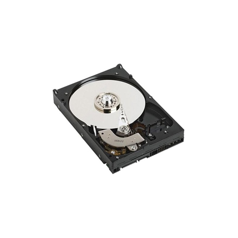 DELL 400-AFYC disco duro interno 3.5" 2 TB Serial ATA III