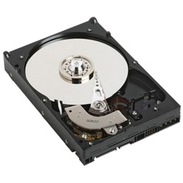 DELL 400-BJRU internal hard drive 3.5" 1 TB Serial ATA III